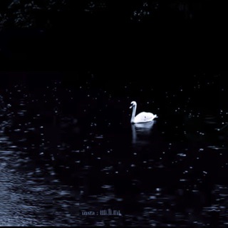 *◾#𝐀𝐁𝐁𝐀𝐒 ◾*