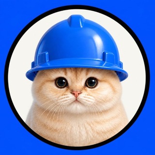 Base(d) Cat | Offical