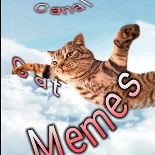 🐈 > CAT MEMES <🐈