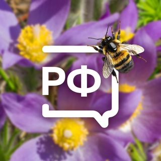 Объясняем.Ленинградская область