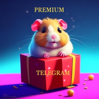 РОЗЫГРЫШИ TG PREMIUM