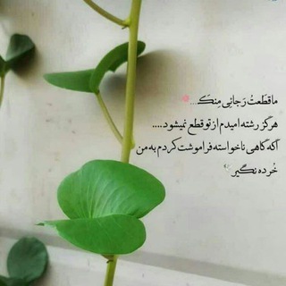 «𝐣𝐚𝐯𝐢𝐝 𝐌𝐨𝐡𝐚𝐦𝐦𝐚𝐝𝐢»