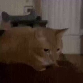 хайву