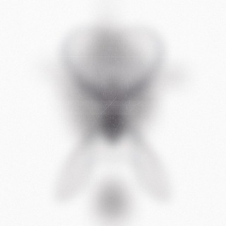 unknown4201.040