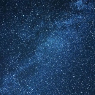 Реклама «365 nights»