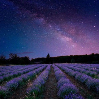 [архив ]☃️ nature and space confession!