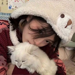 кав'ярня котиків