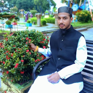 Islami Entertainment Bd Admin