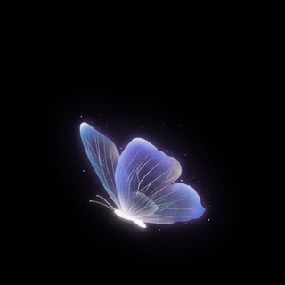 قَمريةُ السّحِر .
