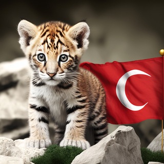 BabyBNBTiger 🇹🇷 Turkey grup