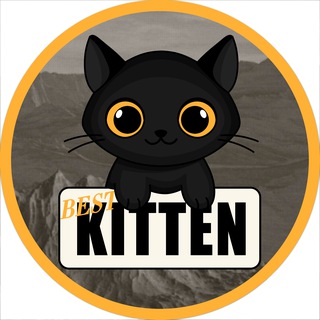 Kitten Group