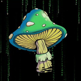 TON MUSHROOMs NFT.