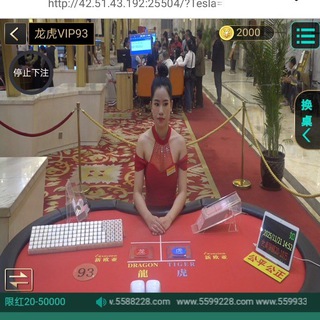 网赌