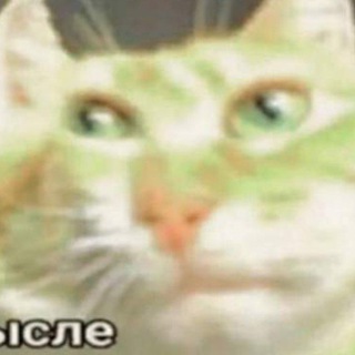 Обсуждение херни