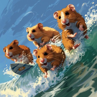 HODLer's Surf