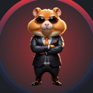 Hamster Combat Chat