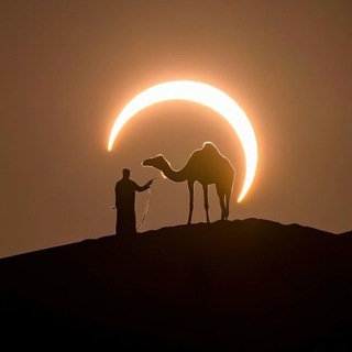 muslimBot || questions
