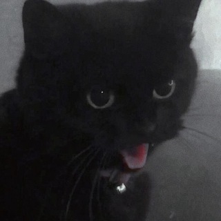 Lu