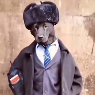 Hh Hh