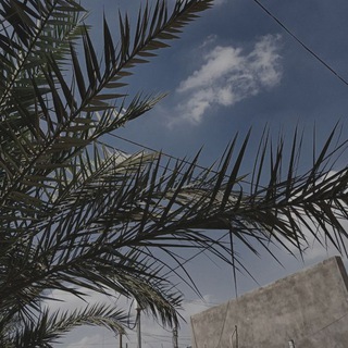 - عَليّ "
