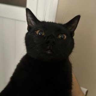 emirqhx