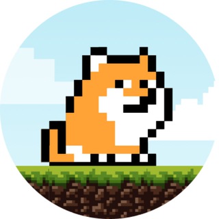 PlayDoge