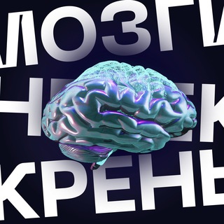 Brains2up