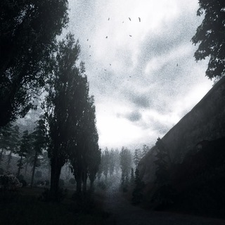 S.T.A.L.K.E.R. Melancholy — INFO