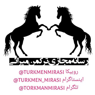 مدیر رسانه مجازی ترکمن میراثی