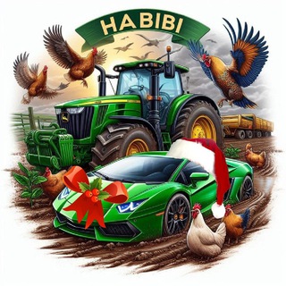 Habibi(100% Lucky)