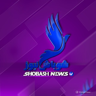 شوباش للخبر العاجل