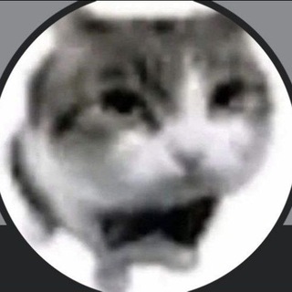 #ⲗⲟⳝⲥⲧⲉⲣ🦞 #ᥱᥒfρ 🤲🏼