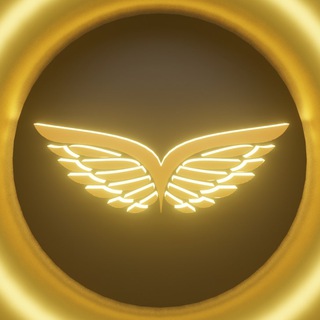 FOREX WINGS TEAM