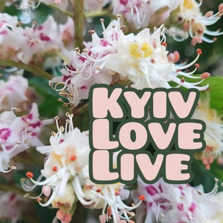 Kyiv_love_live | Куди піти? Київ