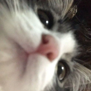 Лерк♡