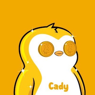 表弟想自由💰