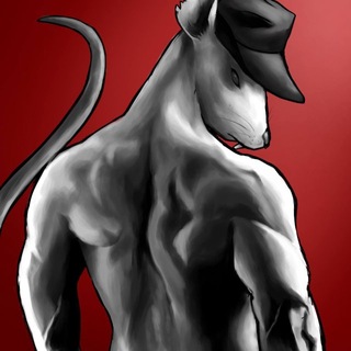 Mr. Rat