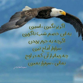 Morteza