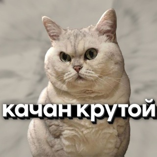 крутой качан