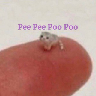 PeePeePooPoo