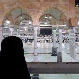 بوت التواصل مع قناة سمر إبراهيم