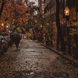 شبهای بی انتها🎸🎶🎵🎻