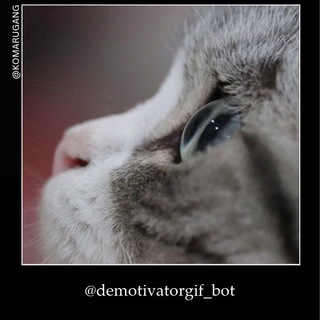 Demotivator bot #Komarugang