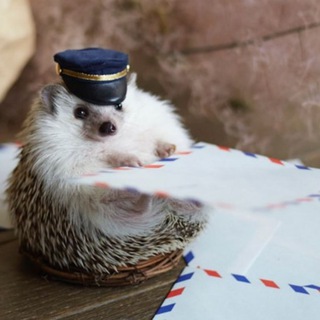 Hedgehogs Mailbox