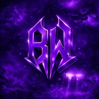 Пиар чат 2 Bwell Organization