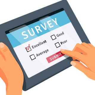 LM SURVEY INC