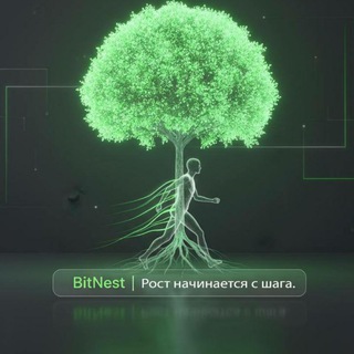 Экосистема BitNest|Нана Олейникова. За 28 дней + 24%