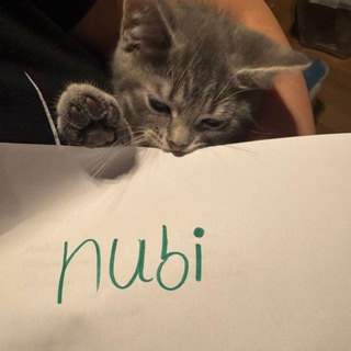 nubi