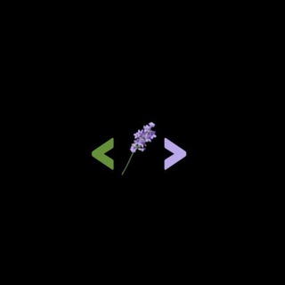 LAVANDER PROJECTS