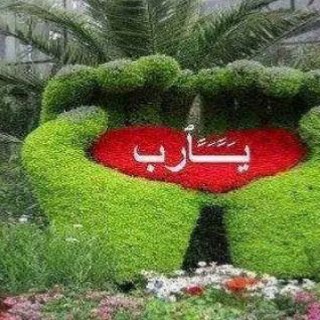 قنوات علي وعائشة
